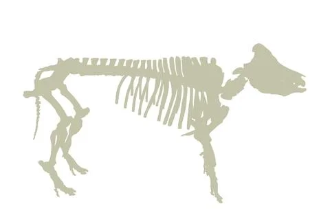 Pig skeleton vector silhouette illustration isolated Stock Illustration