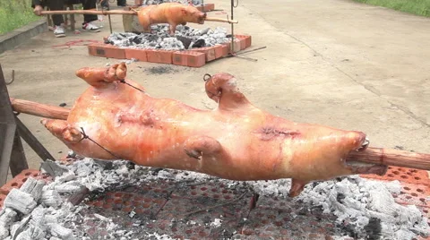 Pig on skewer Stockbeeldmateriaal 41980168