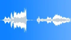PIGSound Effect