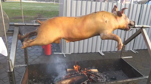 Pig on a spit Stock Footage 33736274
