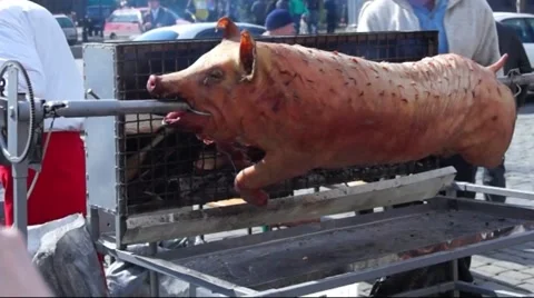 Pig on a spit Stock Footage 48393291