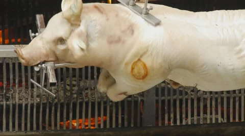 Pig On Spit 스톡 동영상 52369869