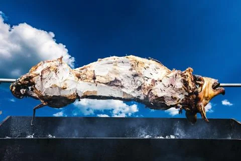 Pig on the spit Stock Photos