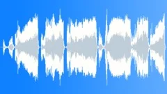Pig Squealing 3 Sound Effect