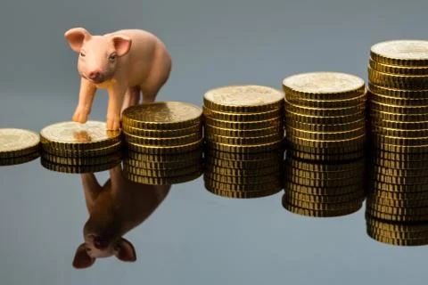 Pig on stack of coins Stock Photos