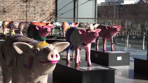 Pig statue art Video stock 48269853