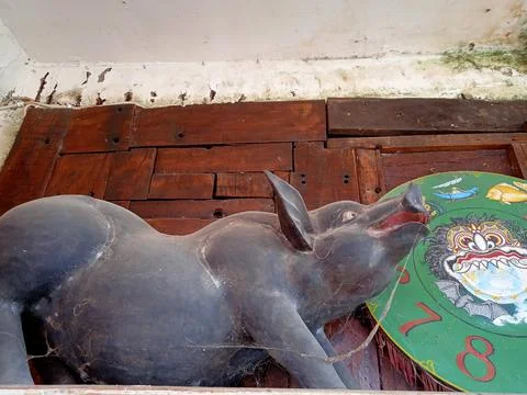 Pig statue display 写真素材