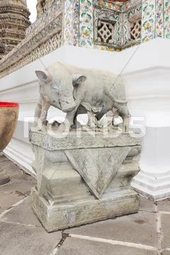 Pig statue Stock Photos