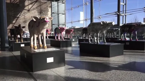 Pig Statues Video stock 48269843
