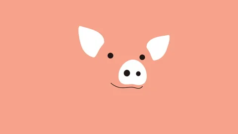 Pig Vector Footage Full Hd Resolution HD Animal Motion Graphic Stock Footage 179493955