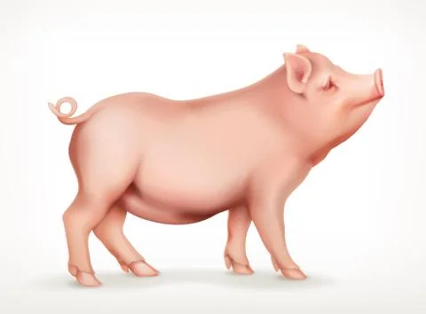 Pig, vector icon Stock Illustration