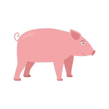  Pig vector illustration in flat style isolated on white background. Pig v... Stock Photos