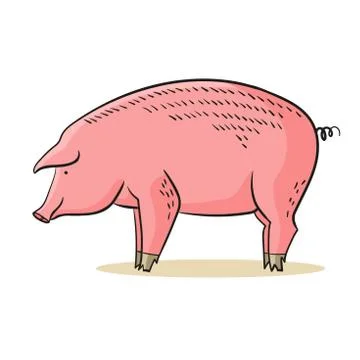 Pig vector isolatad on white background. Cartoon piggu illustration simbol 2019 Stock Illustration