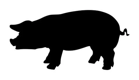 Pig vector silhouette isolated on white background. Stock Illustration