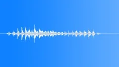 Pig vocalizing 01 Sound Effect