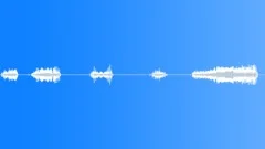 Pig vocalizing many 02Sound Effect