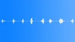 Pig vocalizing many 04 Sound Effect