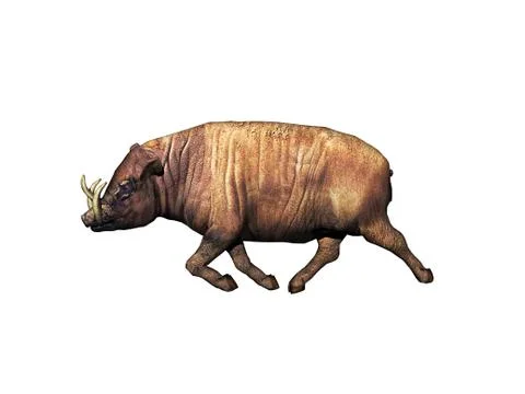 Pig wallows in the mud Stock Illustration