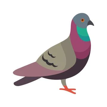 Pigeon bird flat style vector illustration. Dove bird illustration. Stock Illustration