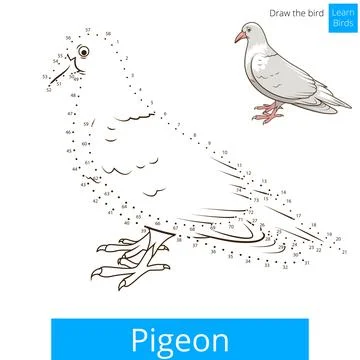 Pigeon bird learn to draw vector Illustrazione stock