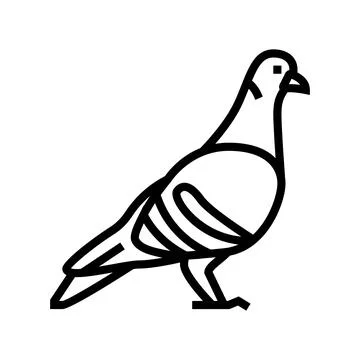 Pigeon bird line icon vector illustration Illustrazione stock