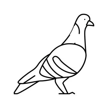 Pigeon bird line icon vector illustration Illustrazione stock