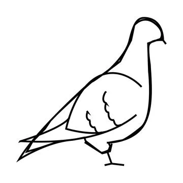 Pigeon bird line icon vector illustration Illustrazione stock