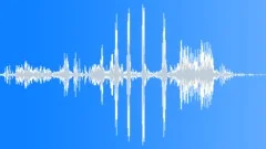 Birds - ZapSplat - Download free sound effects