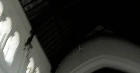 Pigeon in the church Stock Footage 86622244