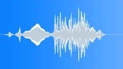 Pigeon Coo 05 Sound Effect