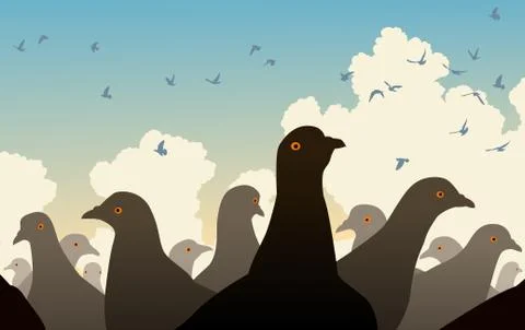Pigeon crowd Illustrazione stock