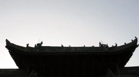 Pigeon on the eaves of temple china Stock Footage 906741