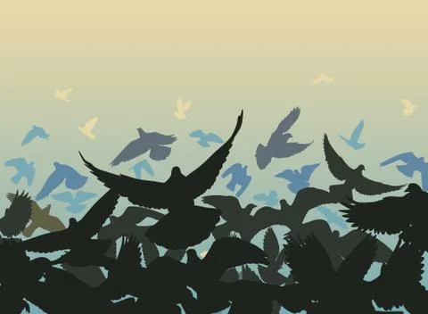 Pigeon edge Illustrazione stock