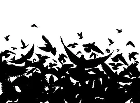 Pigeon flight Stock-Illustration