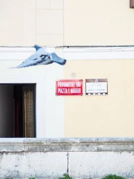 Pigeon fly Foto stock