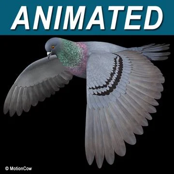 Pigeon A  Flying 3D Model