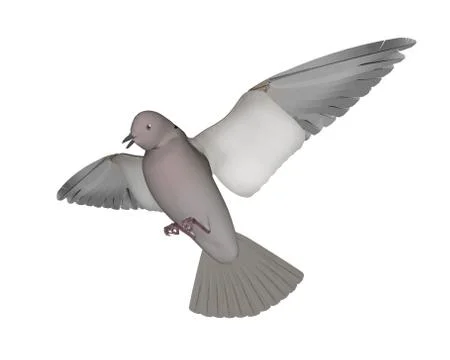 Pigeon flying - 3D render Stock Illustration