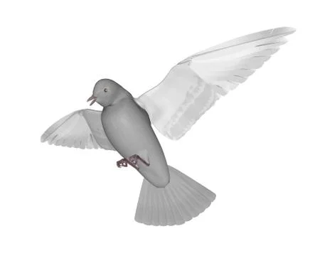 Pigeon flying - 3D render Stock Illustration