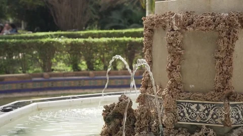 Pigeon flying away from Ninfa de la Caracola Fountain in Park of Malaga, Spain Stock Footage 239844583