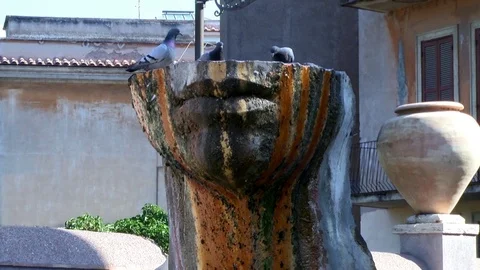 Pigeon flying down and drinking  from a fountain. 動画素材 79451927