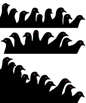 Pigeon heads Stock Illustration