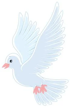 Pigeon Stock Illustration