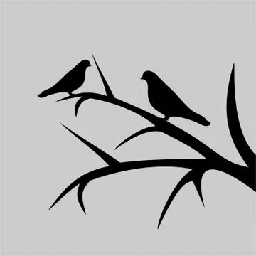 Pigeon Stock Illustration