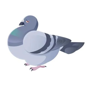 Pigeon Stock Illustration
