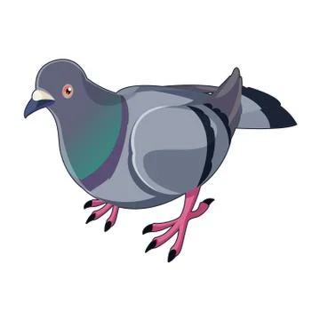 Pigeon isometric icon Stock Illustration