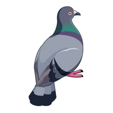 Pigeon isometric icon Stock Illustration