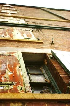 Pigeon on Ledge 1 Foto stock