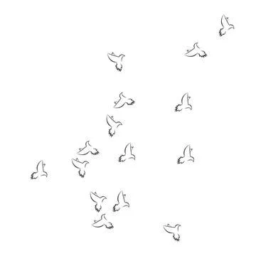 Pigeon logo Stock Illustration