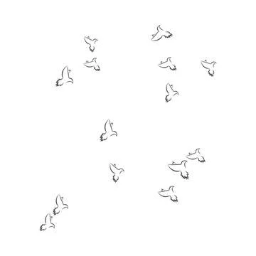 Pigeon logo Stock Illustration