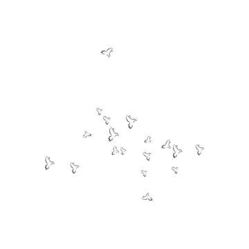 Pigeon logo Stock Illustration